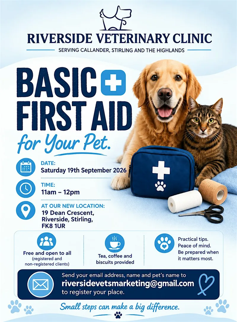 Basic First Aid for Pets