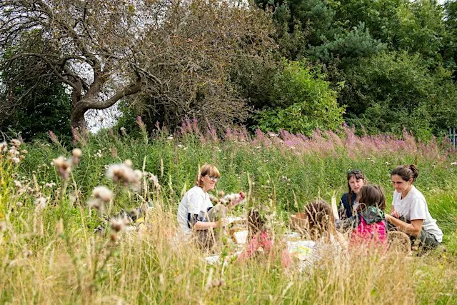 FREE Artist-led Land Art Workshop!