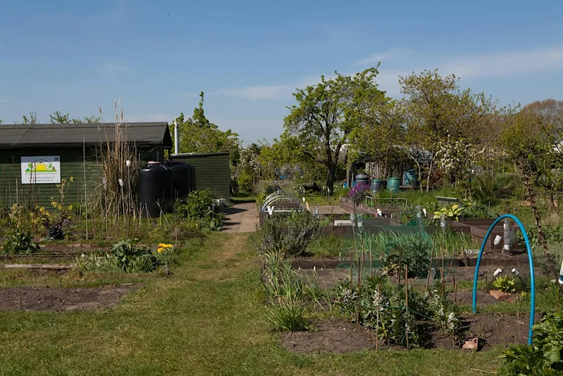 Bluebell Open Day