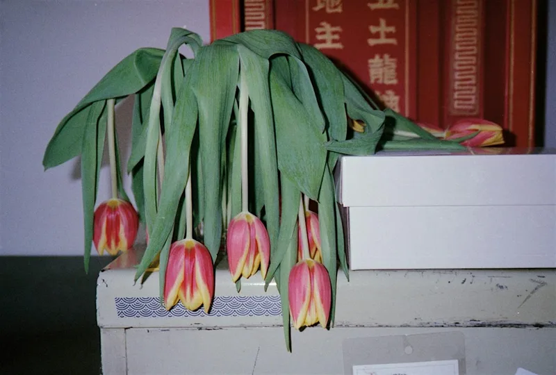 LOVE IN THREE ACTS exhibition // screening // artist talk