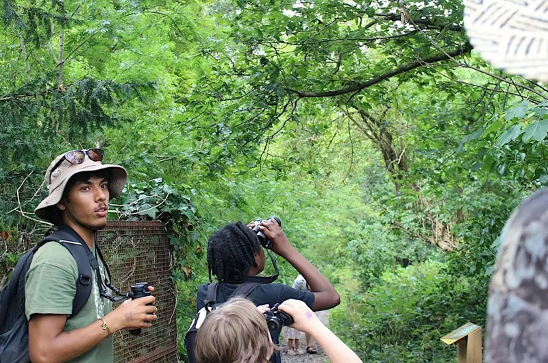 Woodland Bat Walk and Night Safari