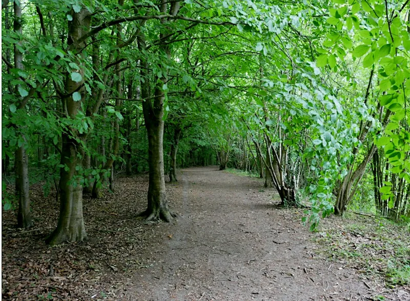 High Elms trail walk & lunch