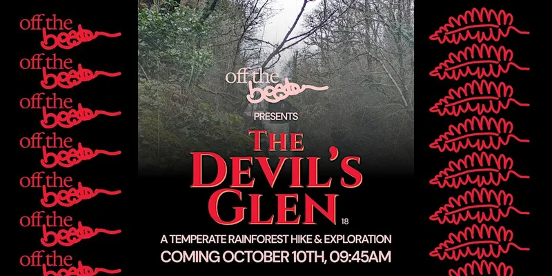 Devil’s Glen hike: Explore a fragment of Irish temperate rainforest