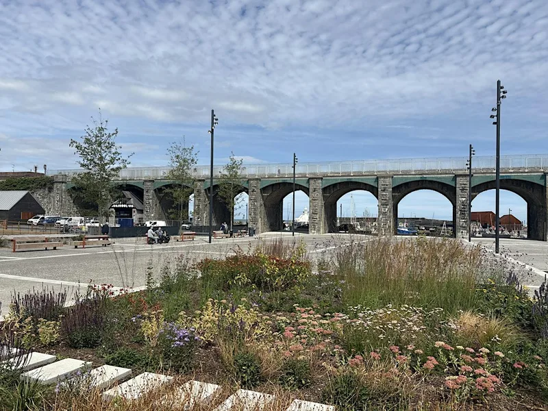 AAI Site Visit: Quay Street & Environs, Balbriggan - Paul Keogh Architects
