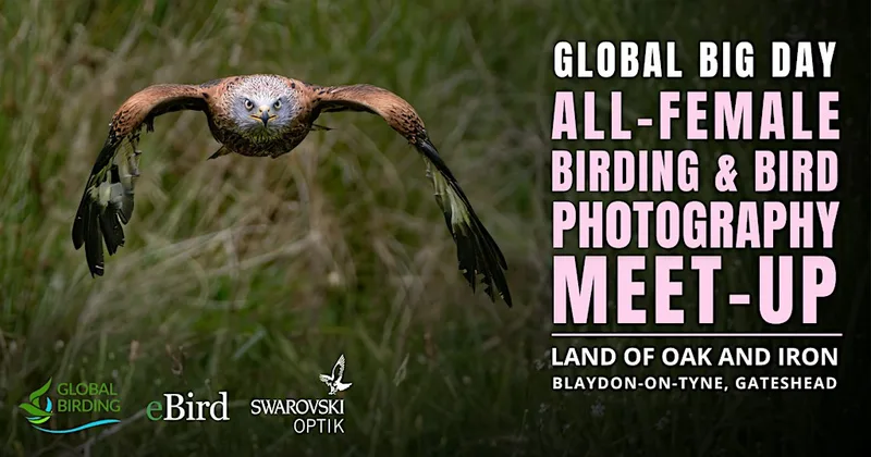 Global Big Day - All-Female Birding & Bird Photography Morning