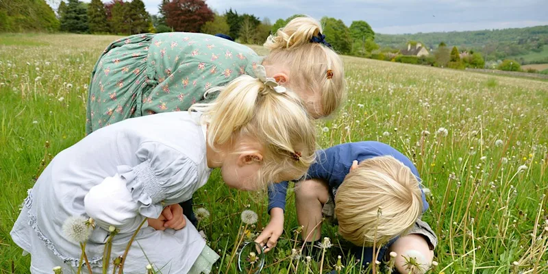 Monday on the Meadow