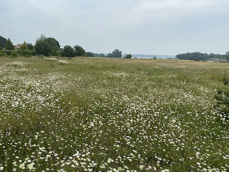 Action for Nature