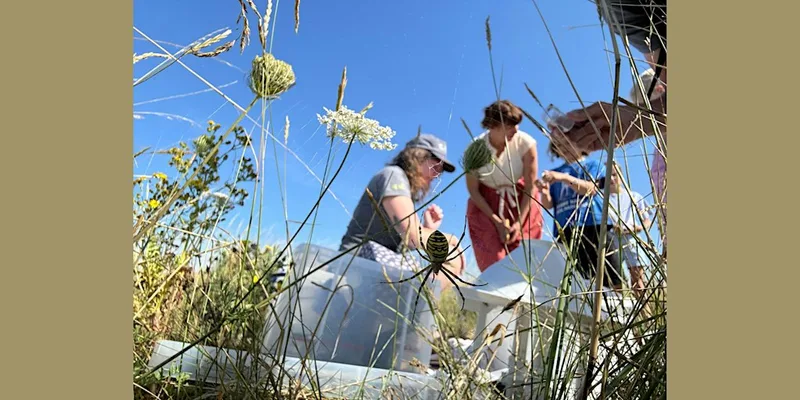Wildlife Watch: Family Spider Hunt, Rye Harbour Nature Reserve (420337035)