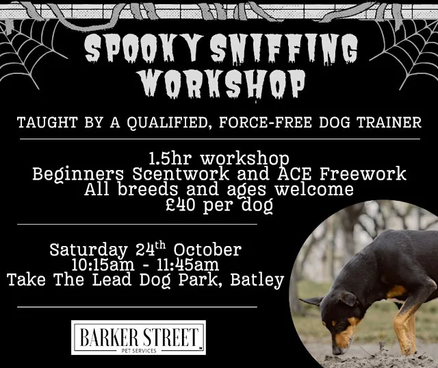 Spooky Sniffing Workshop