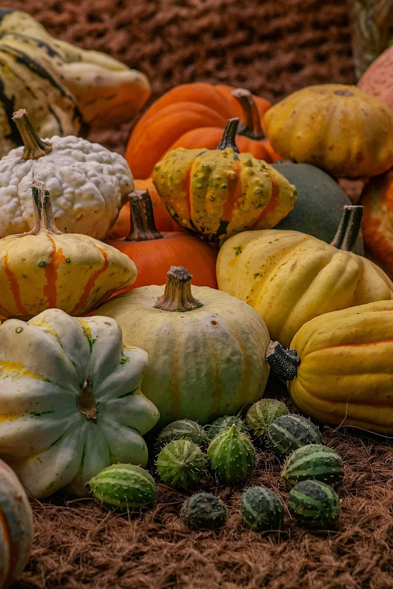 Green Halloween!