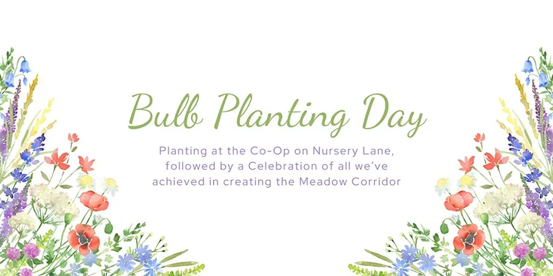 Bulb Planting at Nursery Lane Co-Op + Meadow Corridor Celebration