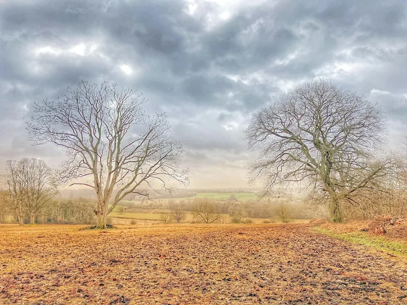 Walk Tonbridge Club: Leigh and Penshurst Circular