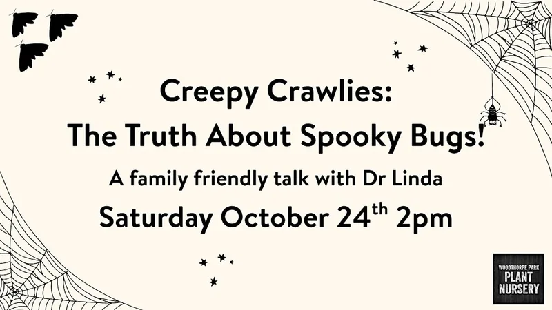 ️ Creepy Crawlies: The Truth About Spooky Bugs!
