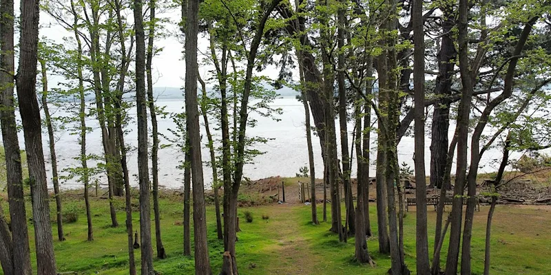Brownsea Bliss
