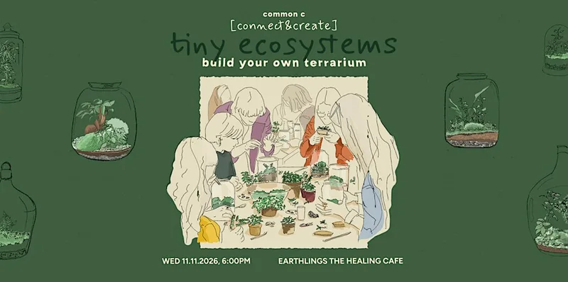 tiny ecosystems: Build Your Own Terrarium