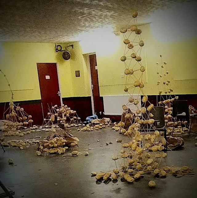 A classic Scouts Taskmaster style team challenge with WildFire Social Club