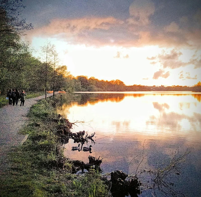 A night hike using natural navigation techniques with WildFire Social Club
