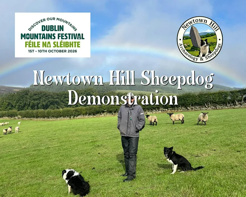 Newtown Hill Sheepdog Demonstration