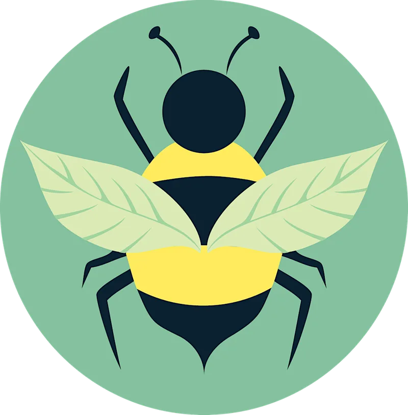 Homes for Hedgehogs with Durham Wildlife Trust