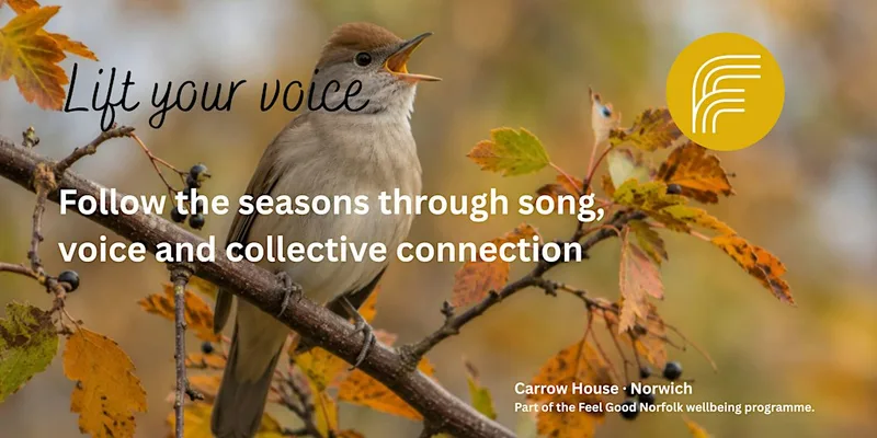 Lift Your Voice