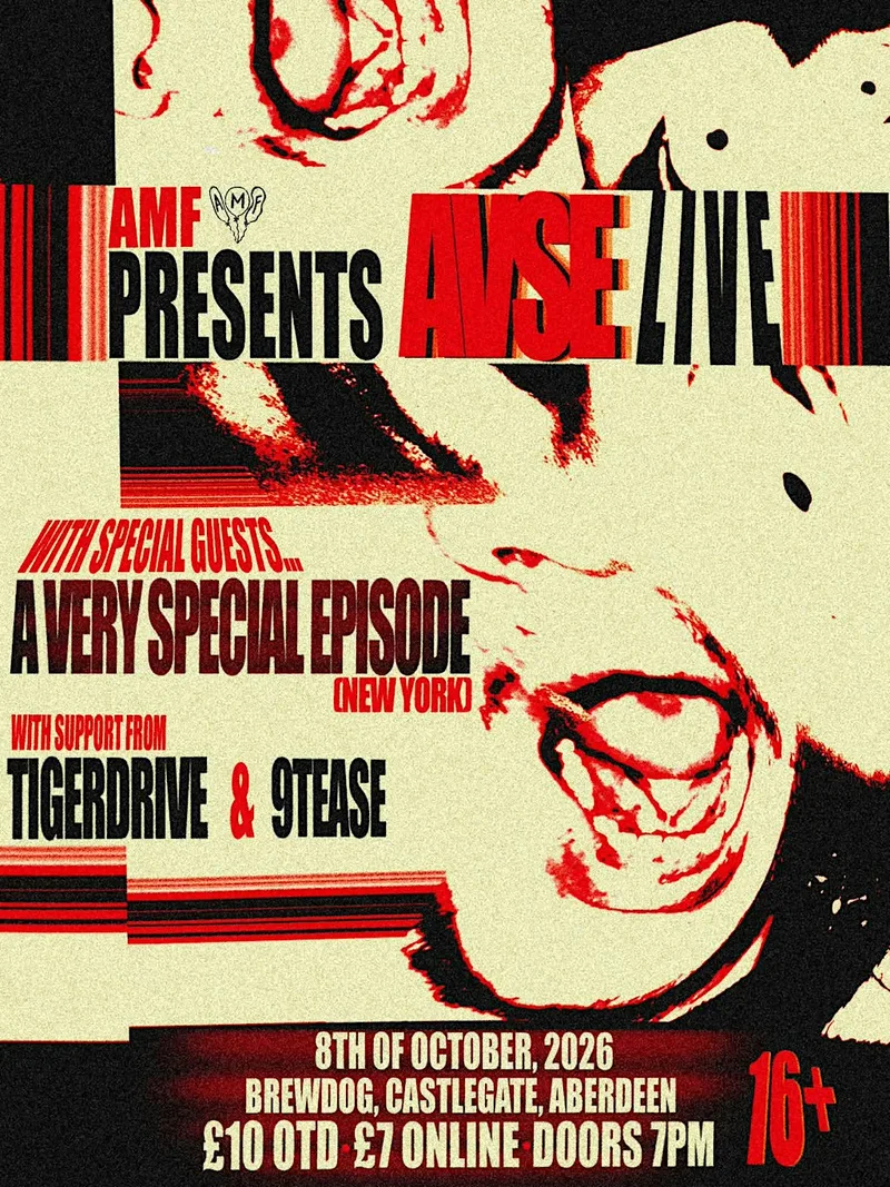 AMFdiy PRESENT: AVSE LIVE!