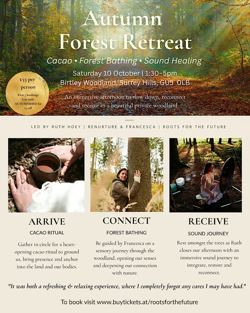 Autumnal Forest Retreat