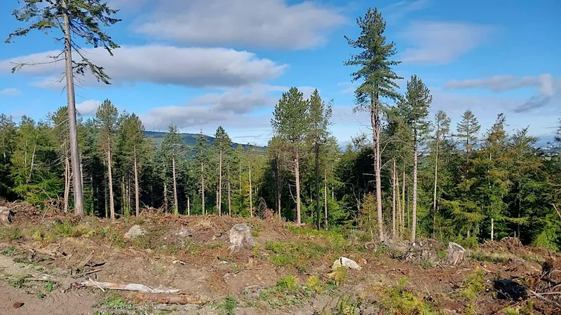 Dublin Mountains Festival: Discover the Dublin Mountains Makeover
