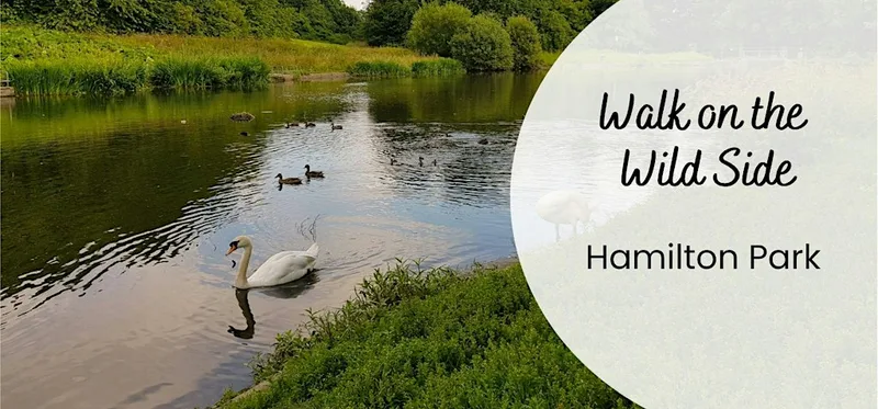 Wildlife Walk: A Walk on the Wild Side – Hamilton Park