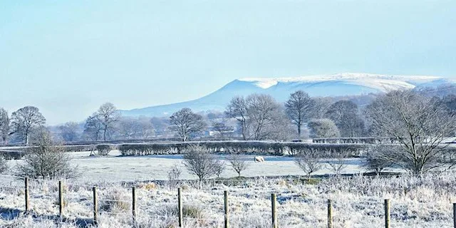 Winter at Brockholes - Guided Walk