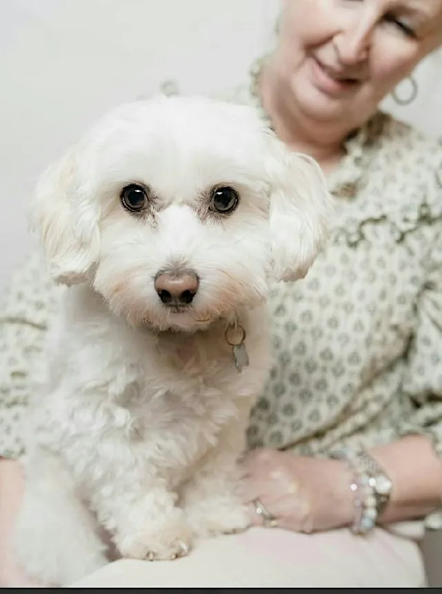 Pet Photography Portrait Sessions – Picture Perfect Pets!