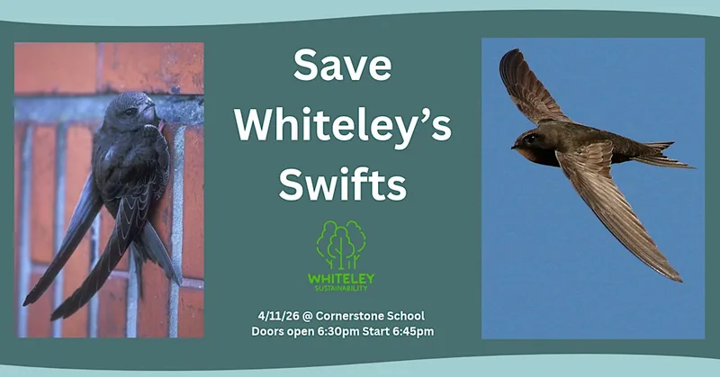 Save Whiteley Swifts - Public Talk Hampshire Swifts