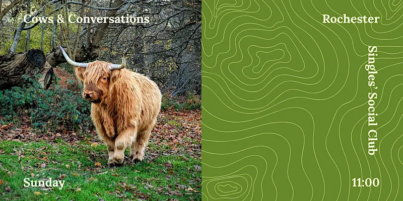 Social Hike | Woodland, Cows & Conversations | Rochester | Medway | Kent