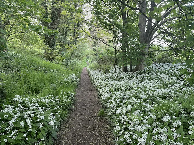 A Way to Live - A Day for those Seeking Fresh Direction in their Lives