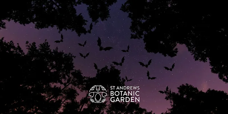 Wildlife After Dark: A Halloween Evening at the Garden