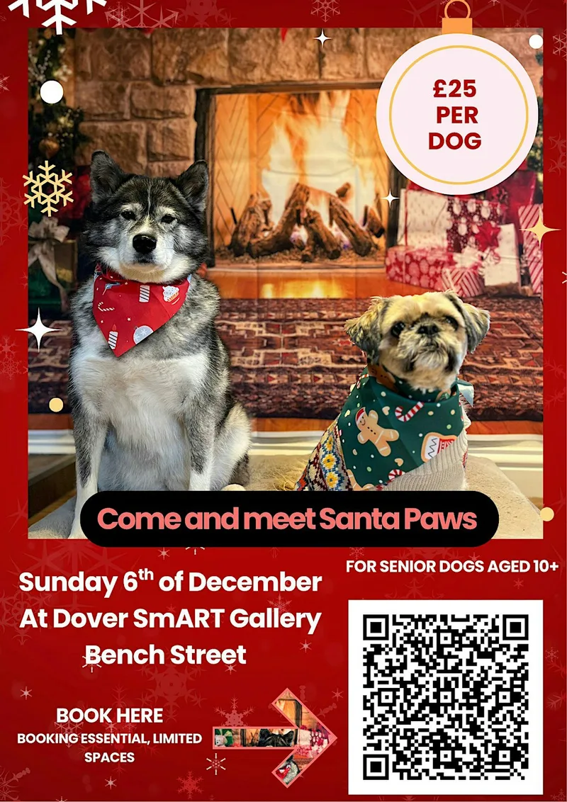 Here comes Santa Paws