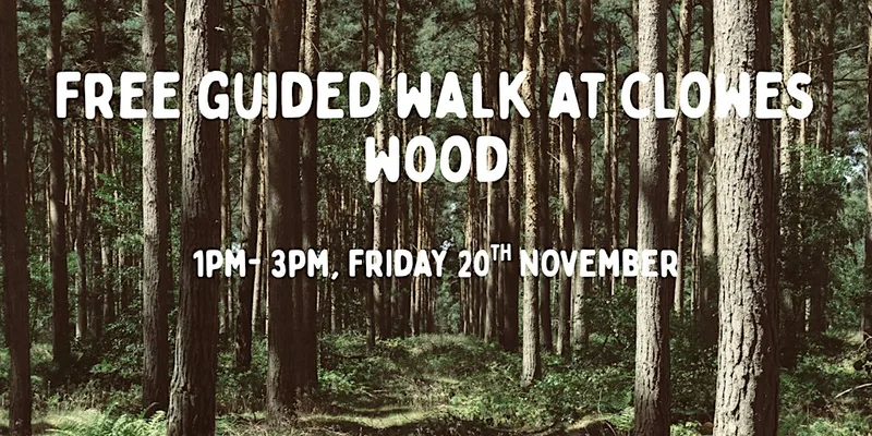 National tree week walk at Clowes wood