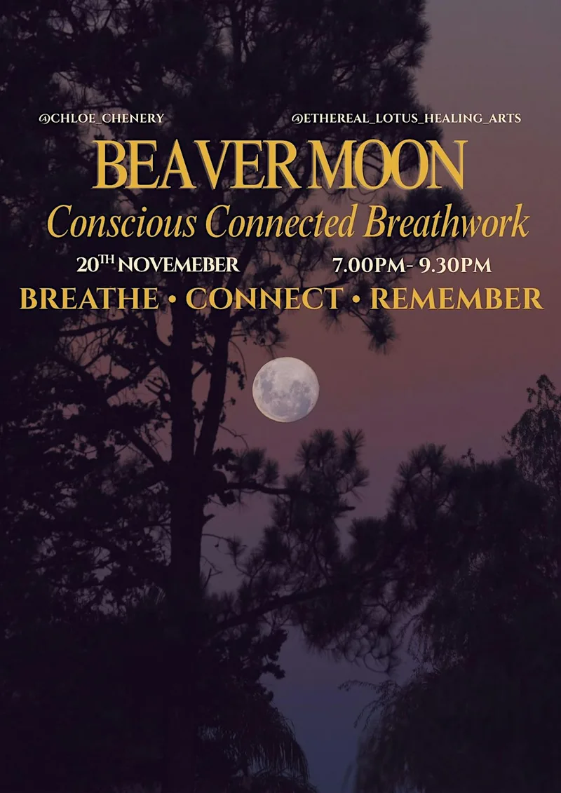 Beaver Moon Breathwork Journey