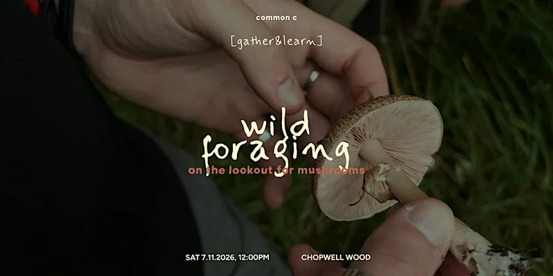 Wild Foraging: on the lookout for mushrooms