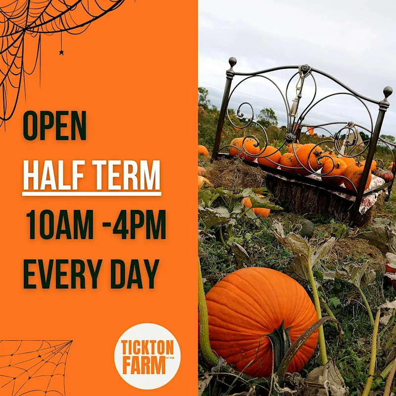 Half Term Pumpkin Picking