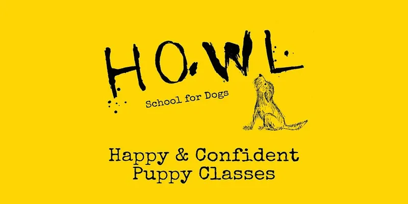 Happy & Confident Puppy Classes (Block of 6)
