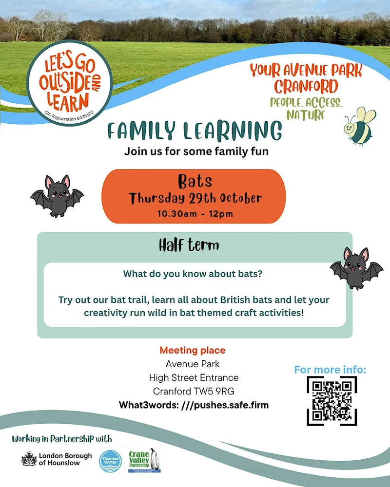 Family Learning - Bats