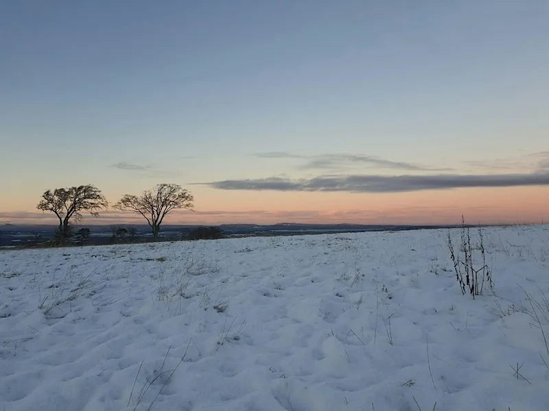 Winter stillness: YOGA & HORSES