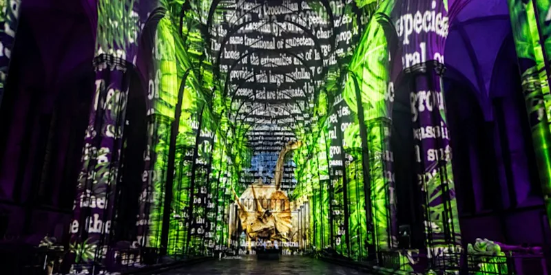 ZEST Sound and Light Show at Exeter Cathedral, supper at Cote Brasserie