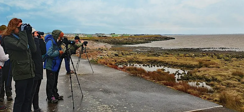 Sea Watch Survey