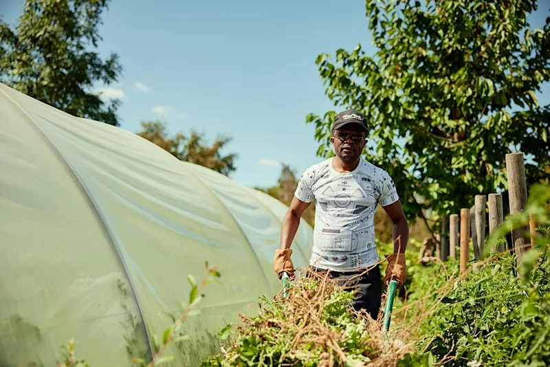 Fridays Community Farming Sessions and Farm open to visitors - 10am to 1pm