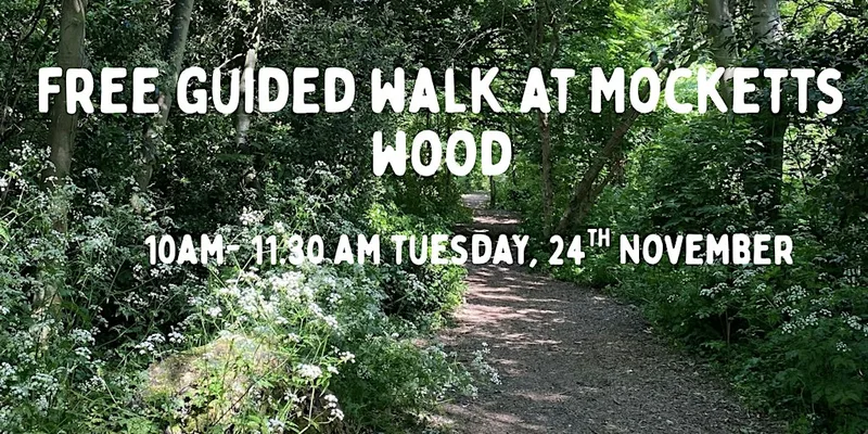 National tree week walk at Mocketts wood