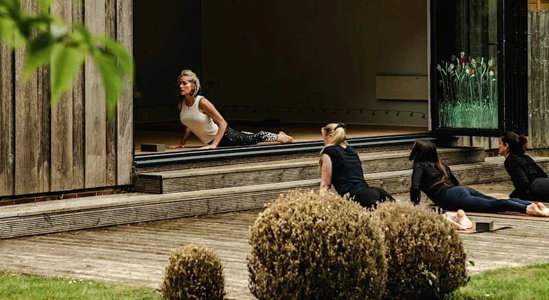 Take Flight: An Arm Balance Workshop