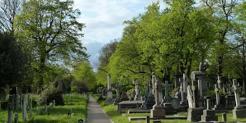 Open Day Tour: Tree Walk in Brompton Cemetery