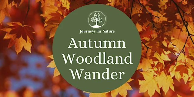 Autumn Woodland Wander