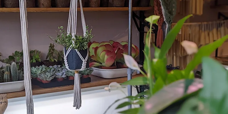 Macrame Plant Hanger Workshop